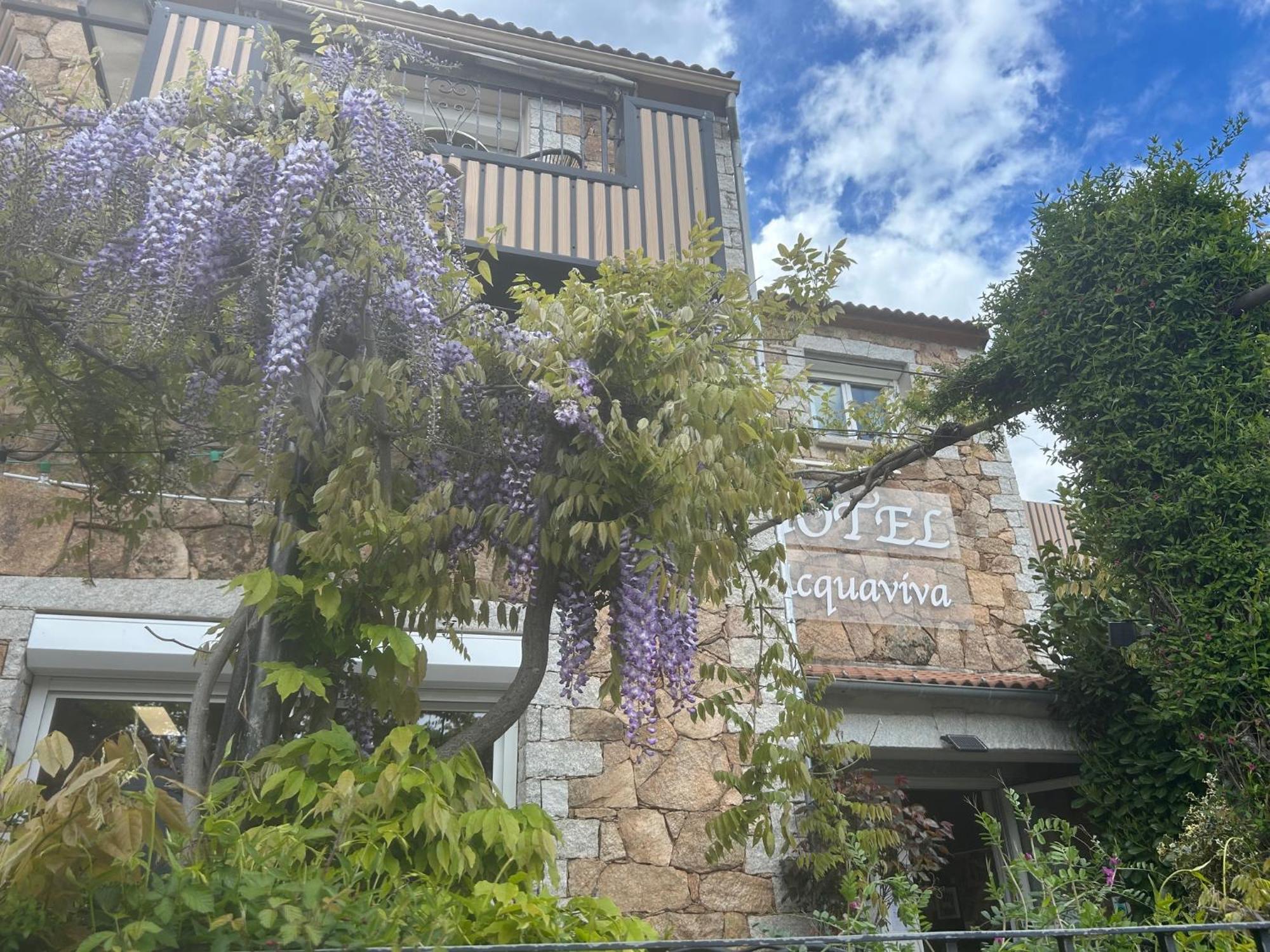 Hotel L'Acqua Viva Calacuccia Exterior foto